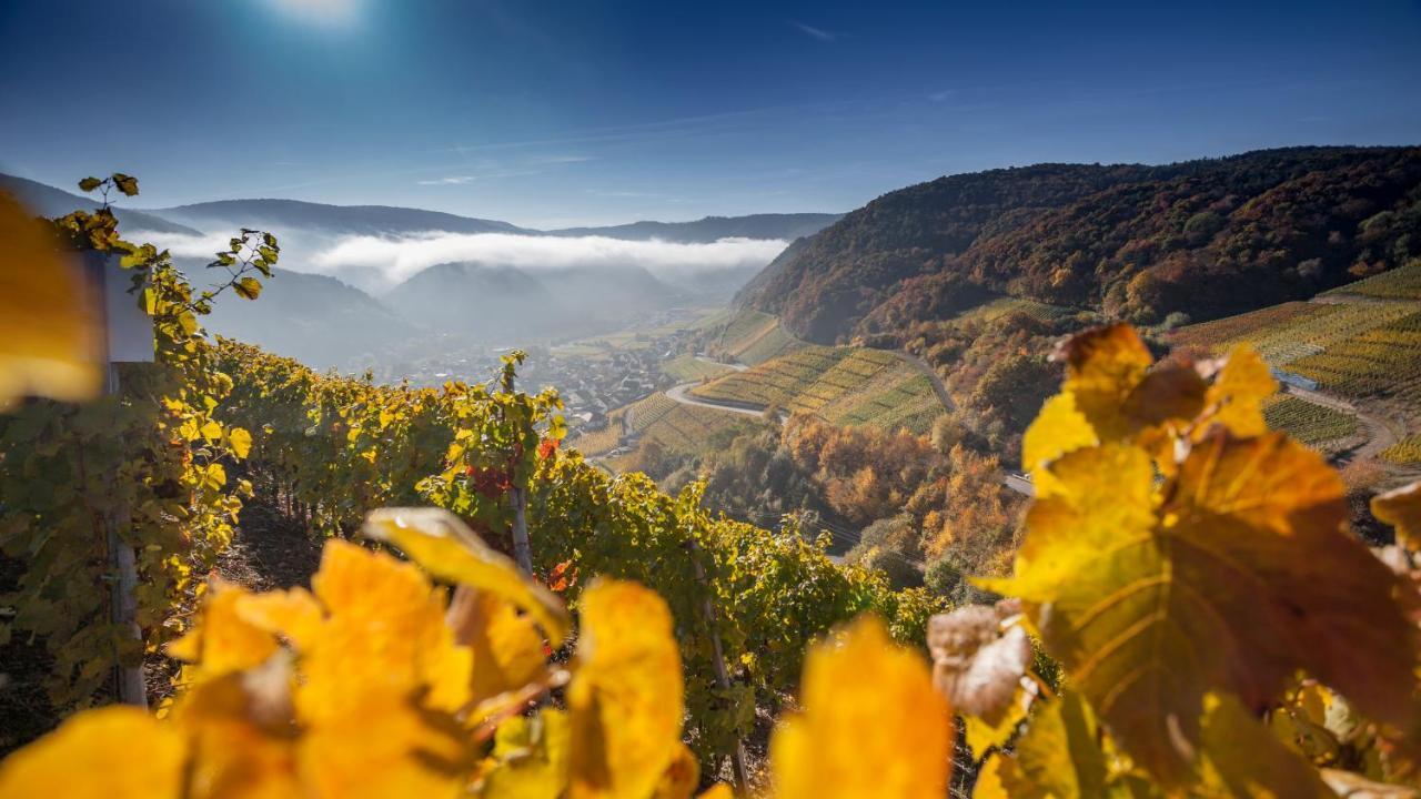 Ferienwohnung Wurzelecht Bad Neuenahr-Ahrweiler Ruang foto